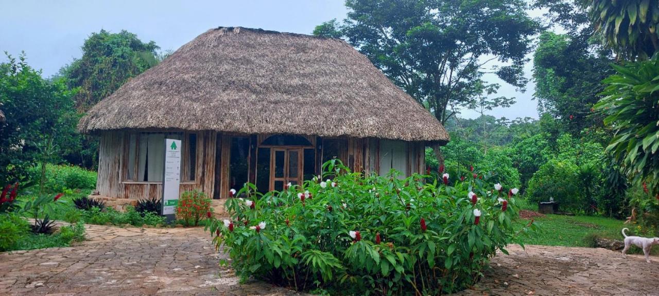Eco Hotel Sak Nok Lacanjá Kültér fotó